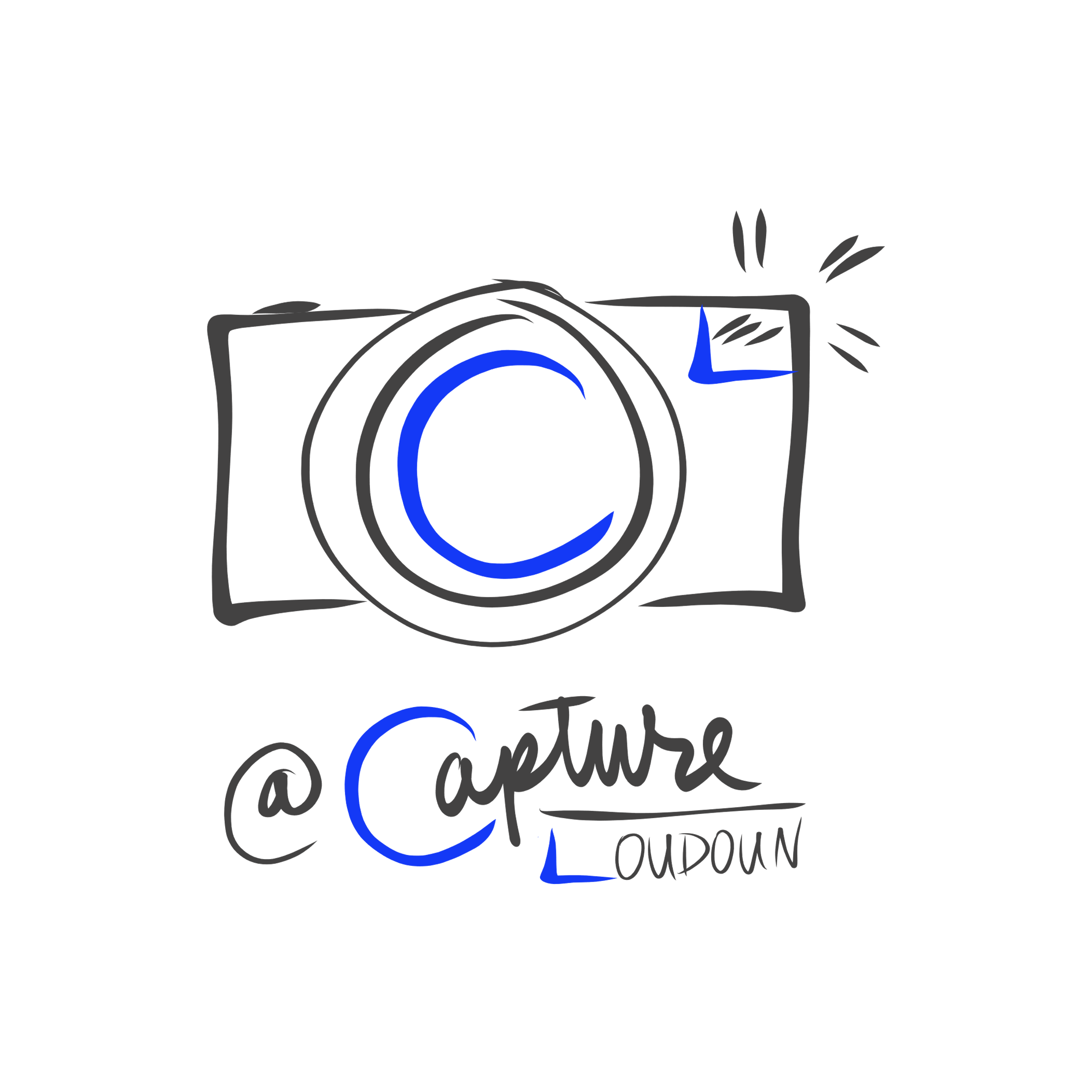 Capture Loudoun idea on the PC